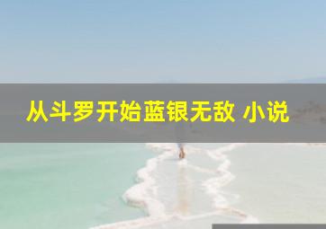 从斗罗开始蓝银无敌 小说